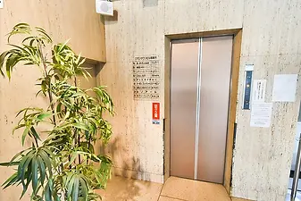 スクリーンショット 2019-04-12 9_34_26.webp